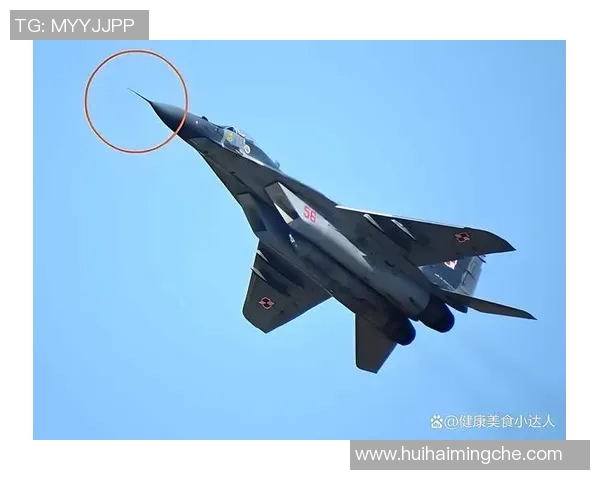 佐加顿与卡玛尔的巅峰对决谁能笑到最后揭开战斗的神秘面纱