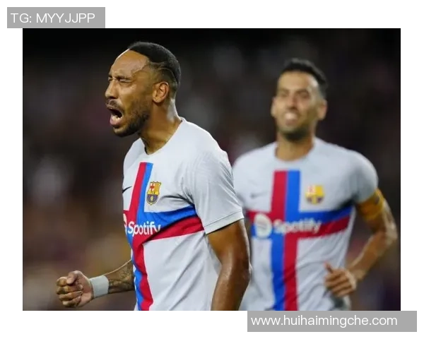 惠灵顿圣徒迎战南部鲨鱼激战在即球迷期待精彩对决