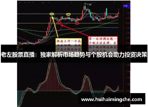 老左股票直播：独家解析市场趋势与个股机会助力投资决策